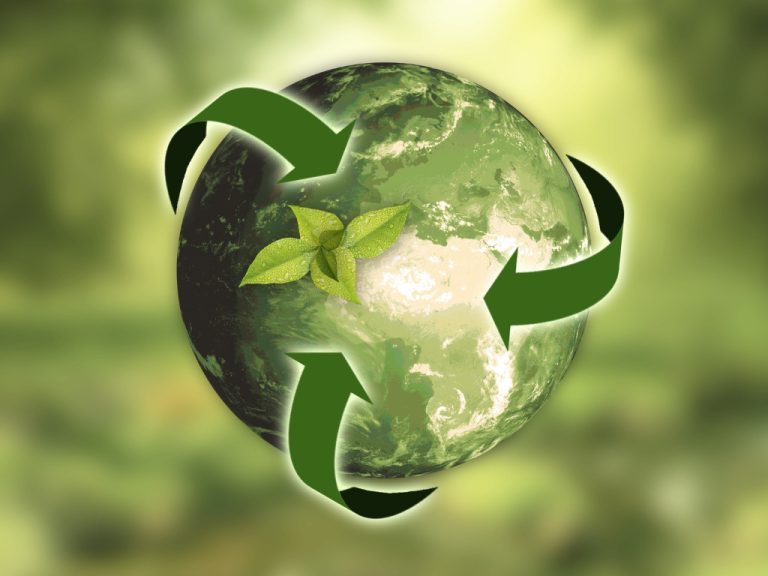 Ecological Sustainability